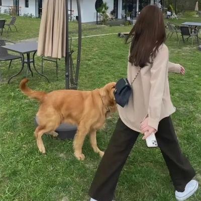 温馨真情